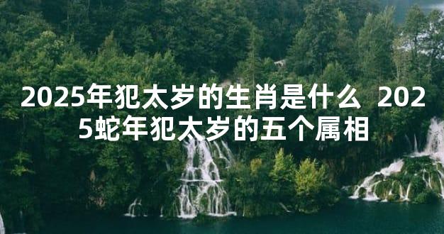 2025年犯太岁的生肖是什么  2025蛇年犯太岁的五个属相